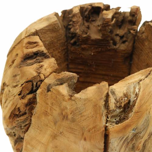 Floristik24 Miska květináč z kořenového dřeva kafr Ø20cm H17cm