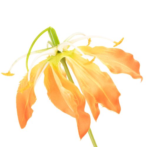 Umělý květ Gloriosa oranžová s dlouhými stonky do vázy 80 cm 3 ks | Floristik24.cz