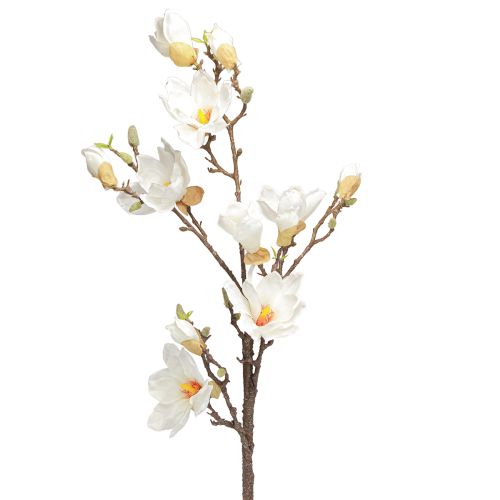 Floristik24 Umělý květ květy magnólie větve Ø2–10cm krémová L105cm