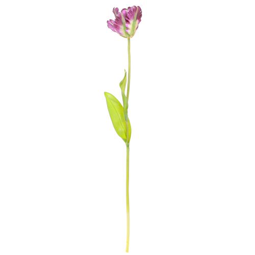 položky Umělá květina papoušek tulipán umělý dekorativní tulipán fialový 63cm