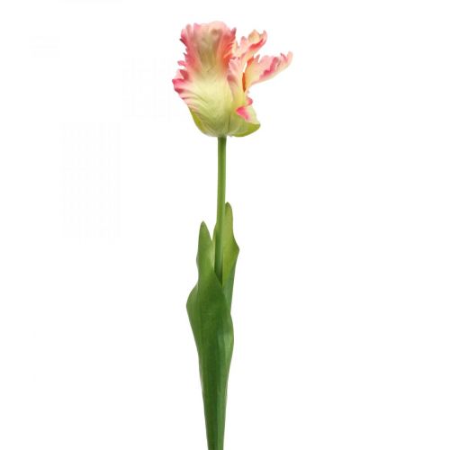 Floristik24 Umělá květina, papoušek tulipán růžový, jarní květina 63cm
