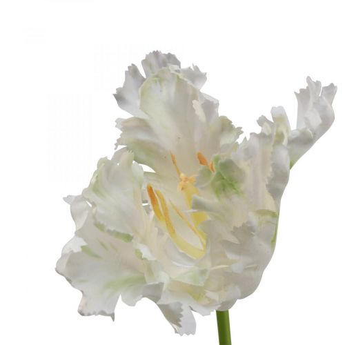 Floristik24 Umělá květina, papoušek tulipán bílozelený, jarní květina 69cm