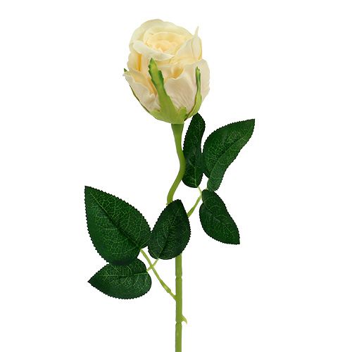 Floristik24 Umělé květiny růže krémová Ø6cm L50cm 6ks