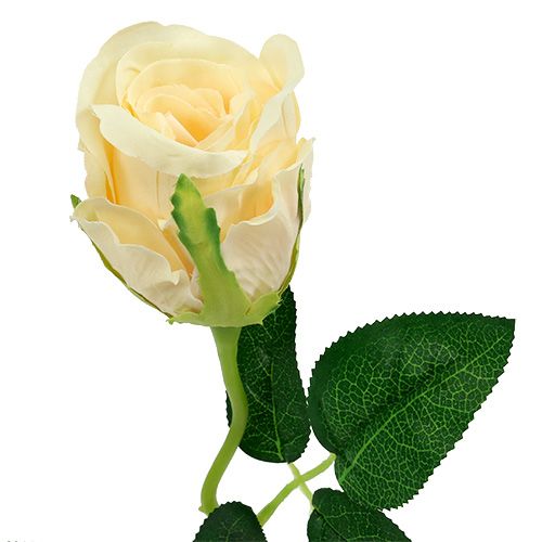 položky Umělé květiny růže krémová Ø6cm L50cm 6ks