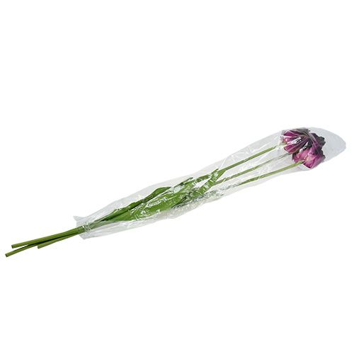 Floristik24 Umělé květiny tulipány fialovo-zelené 84cm - 85cm 3ks