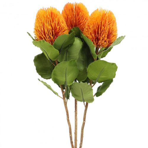 Floristik24 Umělé květiny, Banksia, Proteaceae Orange L58cm H6cm 3 ks