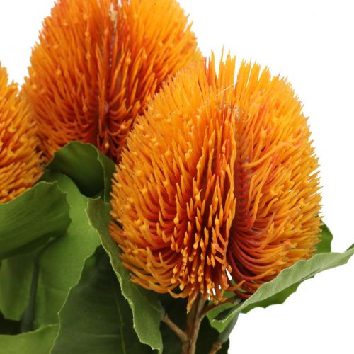 Floristik24 Umělé květiny, Banksia, Proteaceae Orange L58cm H6cm 3 ks