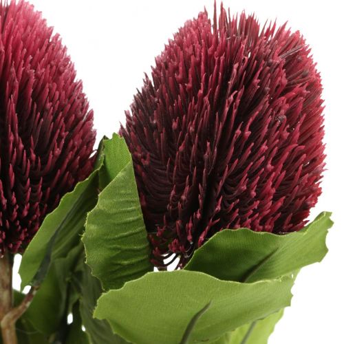 Floristik24 Umělé květiny, Banksia, Proteaceae vínově červené L58cm H6cm 3ks