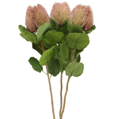 položky Umělé květiny, Banksia, Proteaceae bílo-fialové L58cm H6cm