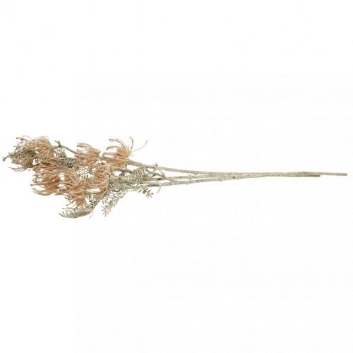 Floristik24 Umělé květiny, jehelníček, Leucospermum, Proteaceae prané bílé L58cm 3ks