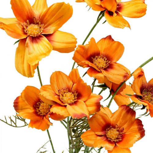 položky Košík na šperky Umělé květiny Cosmea Orange V51cm 3 ks