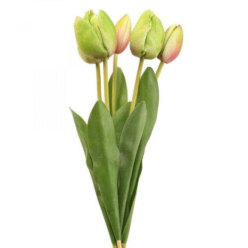 Floristik24 Umělé květiny tulipán zelený, jarní květina 48cm svazek 5 ks