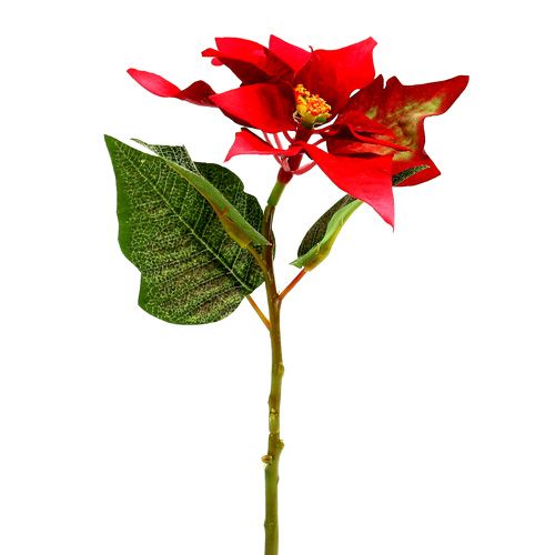 Floristik24 Umělé květiny vánoční hvězda červená L73cm