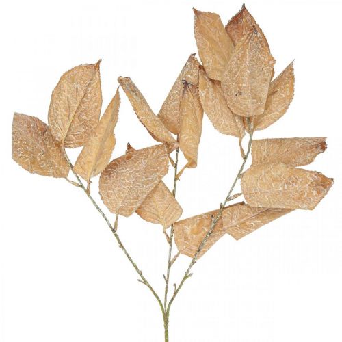 Floristik24 Umělá rostlina podzimní dekorace větev listy vyprané bílé L70cm