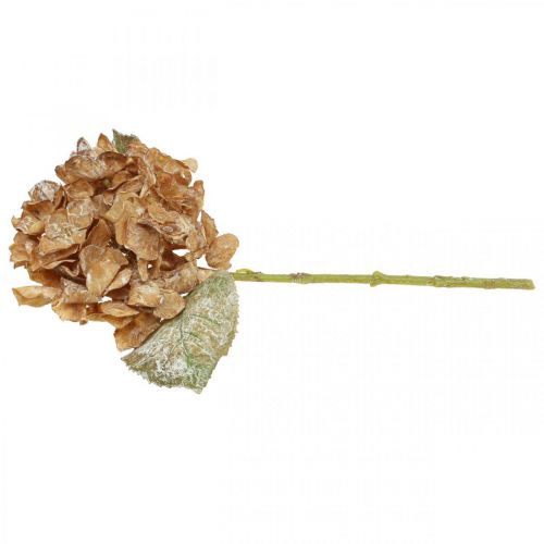 položky Umělá hortenzie vyschlá Drylook podzimní dekorace L33cm