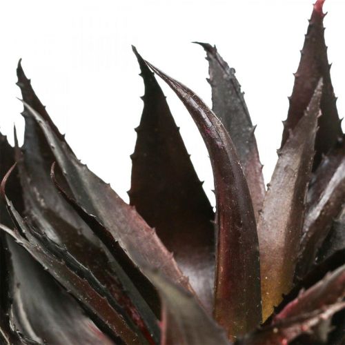 položky Umělá rostlina Aloe Vera v květináči Dekorativní rostlina zelená H20cm