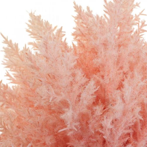 položky Umělá rostlina Astilbe Dekorace Větve Umělá Růžová H38cm 5 ks