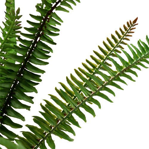 Floristik24 Umělá kapradina tmavě zelená 45cm