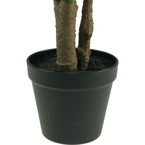 Floristik24 Umělá rostlina Filodendron Umělá rostlina v květináči V60cm