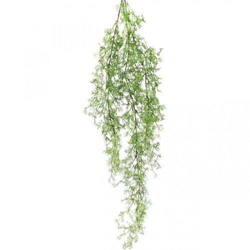 Floristik24 Umělá rostlina jarní chřest ozdobná větev spojovací zelená H108cm