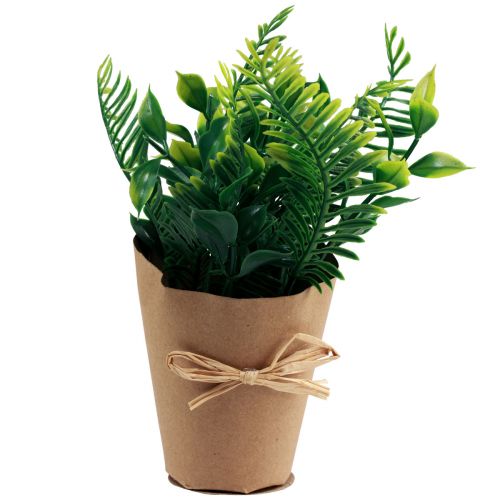 položky Umělé rostliny Umělé kapradiny Zimostráz 15-19cm 4ks