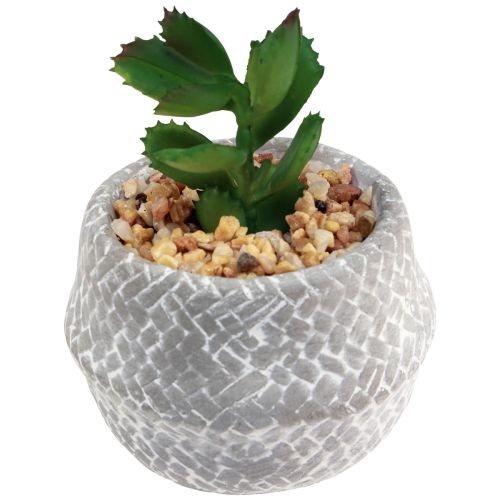 Floristik24 Umělé rostliny sukulenty umělá zelená rostlina 11-14cm 3ks