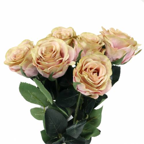 Floristik24 Umělá růže plněná krémová, růžová Ø6cm L37cm 6ks
