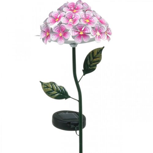 Floristik24 Sluneční květina, LED zahradní dekorace, dekorativní chryzantéma růžová L55cm Ø15cm