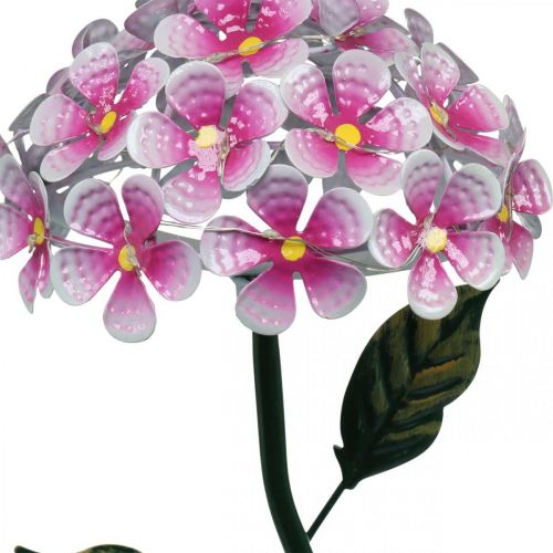 Floristik24 Sluneční květina, LED zahradní dekorace, dekorativní chryzantéma růžová L55cm Ø15cm