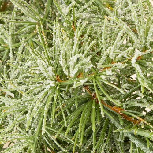 položky Dekorativní modřínová girlanda pro atmosférickou úpravu místnosti, 250 cm