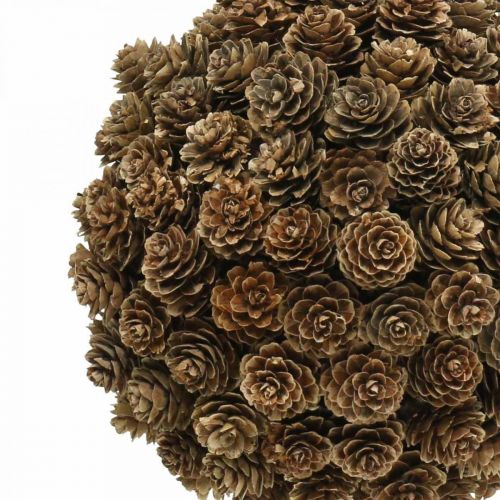 Floristik24 Modřínová dekorace kuželová koule s kuželem na zavěšení přirození Ø20cm