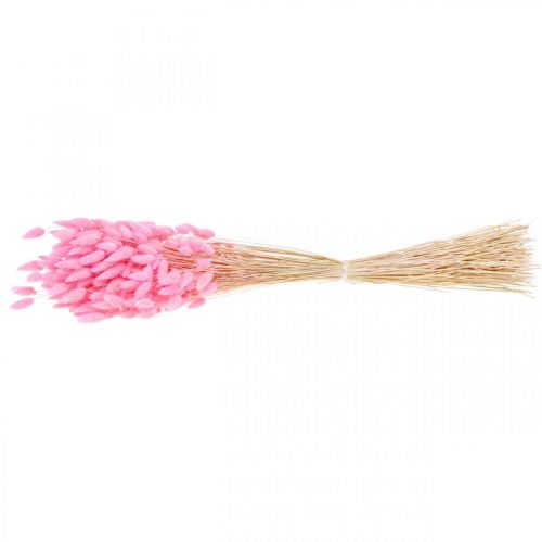 položky Lagurus Sušený králičí ocas růžový 65-70cm 100g