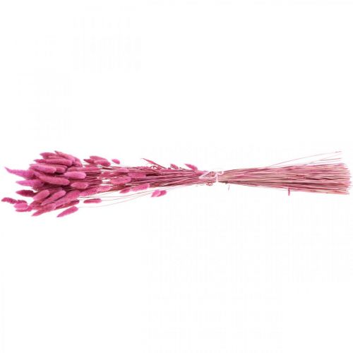 Floristik24 Lagurus sušený králičí ocas tráva fialový 65-70cm 100g
