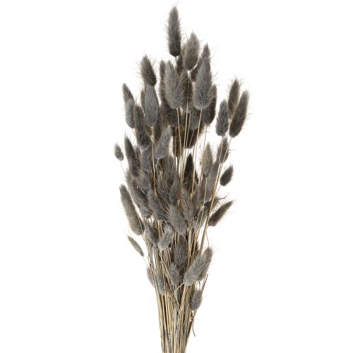 položky Lagurus sušený zaječí ocas tráva šedá 45-55cm 50g