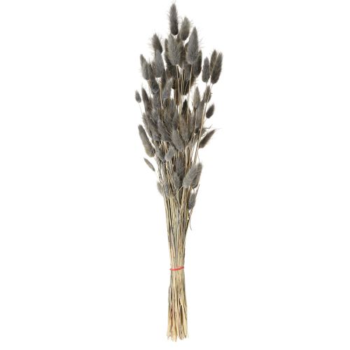 položky Lagurus sušený zaječí ocas tráva šedá 45-55cm 50g