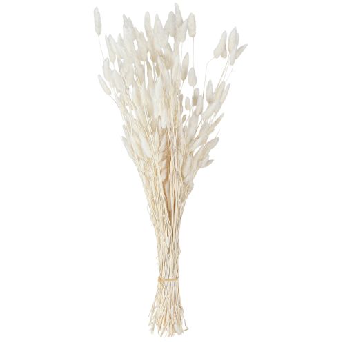 položky Sušené květy Lagurus Natural – nadýchaná tráva z králičího ocasu v krémově bílé 55-70cm 100g