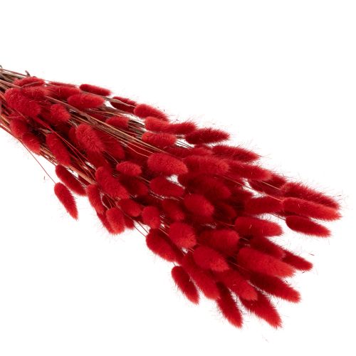 Sušená květinová kytice Lagurus, dekorace ze sušených květin, 70 cm, 100 g | Floristik24.cz