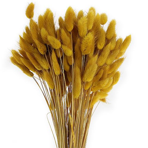 položky Dekorativní tráva zlatožlutá Lagurus 100gr