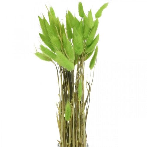 Sametová tráva zelená, lagurus, suché zdobení, sušená sladká tráva L18-50cm 25g