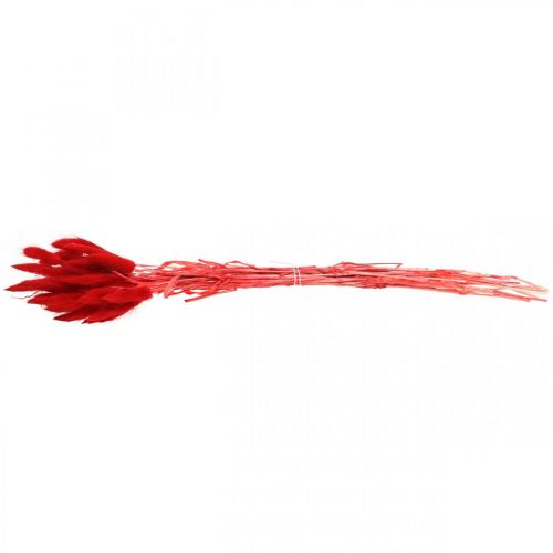 položky Dekorativní tráva červená, lagurus, sametová tráva, suché květinářství L30–50cm 20g