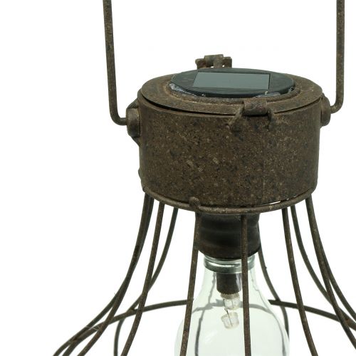 Floristik24 Deco lampa solární Ø23,5cm H24cm