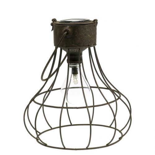 Floristik24 Deco lampa solární Ø23,5cm H24cm