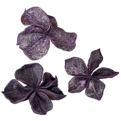 položky Landlotus Mix Blackberry, starorůžová 50 ks