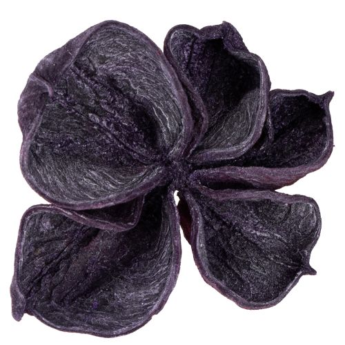 položky Landlotus Mix Blackberry, starorůžová 50 ks
