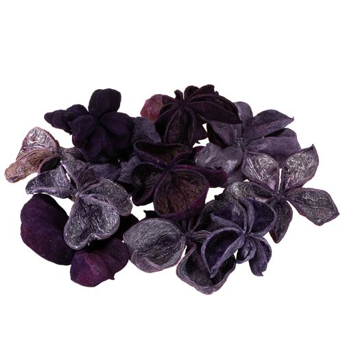 položky Landlotus Mix Blackberry, starorůžová 50 ks