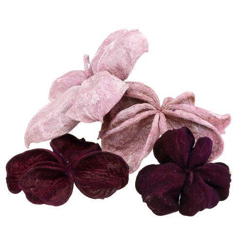 položky Landlotus Mix Blackberry, starorůžová 50 ks