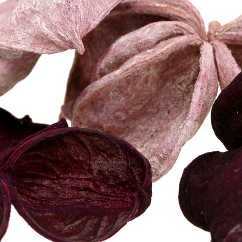 položky Landlotus Mix Blackberry, starorůžová 50 ks