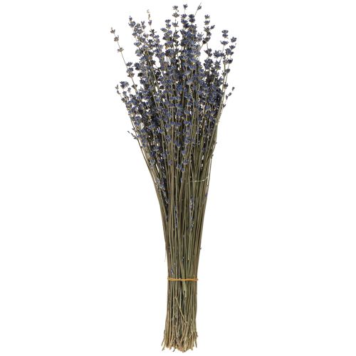 položky Levandule sušené květiny dekorace přírodní 100g 40cm 100g × 2ks