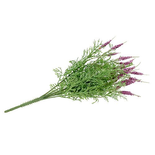 Floristik24 Levandulový keř fialový 43cm
