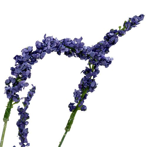 Floristik24 Levandulový keř 55cm modrý